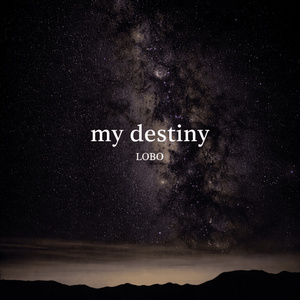 trying to understand