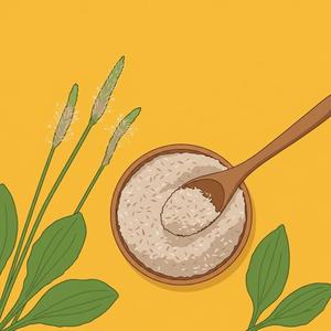 차전자피 (Psyllium Husk)