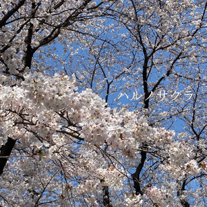 ハルノサクラ