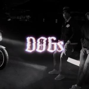 DOGs