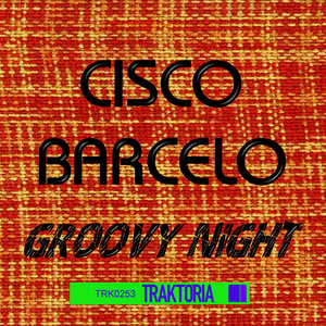 Groovy Night (Original Mix)
