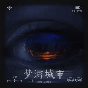 梦游城市