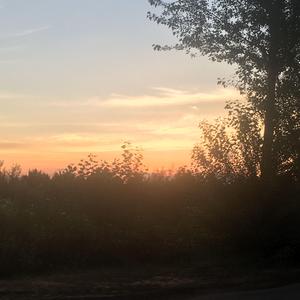 alone in a。 N O O N E