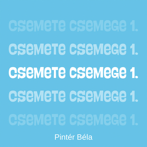 A Szeretet Nem Fogy El (Remix)