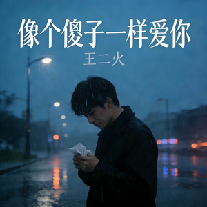 像个傻子一样爱你