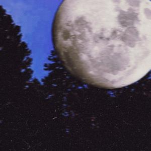 Shada Bu-Dea (Break)