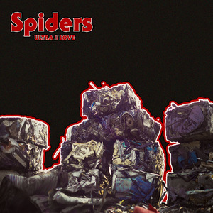 Spider's