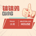 钵钵鸡 DJ小G版  VN house