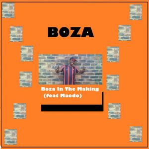 Boza In The Making (feat. Maedo)