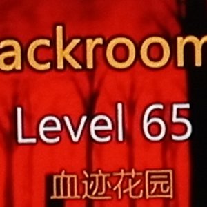 Level 65