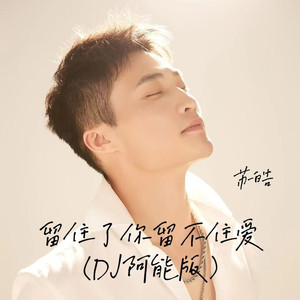 留住了你留不住爱 (DJ阿能版)