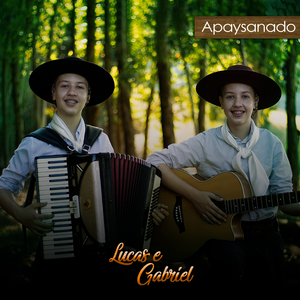 Apaysanado