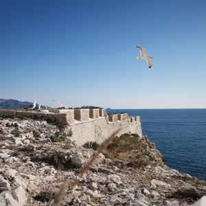 热河（翻自 李志）