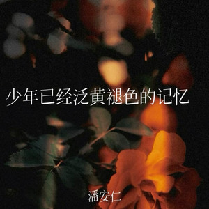 少年已经泛黄褪色的记忆 (Inst.)