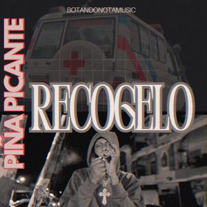 RECOJELO