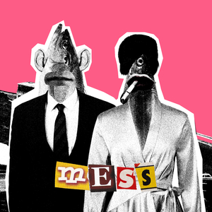 Mess