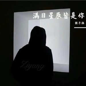 满目星辰皆是你