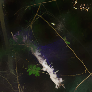 这是一个免费的伴奏