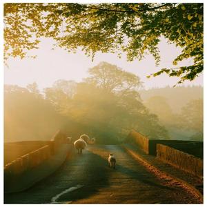 连打了十几个瞌睡