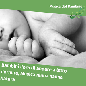 Sempre con me - Natura