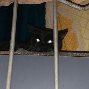 watch me（prod by Red killer）