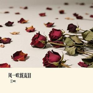 风一吹就流泪 (Cover 向思思)