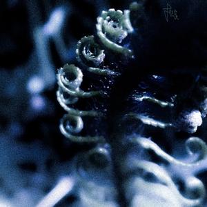 the river that isn't