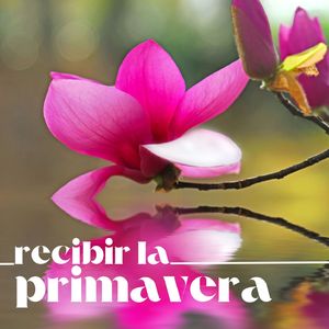 Vibraciones