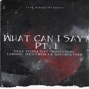 What Can I Say?, Pt. 1 (feat. SmooveGame, LAwood, JerseyMadeJ & GoatMontana)