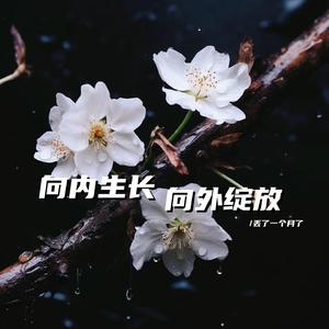 向内生长 向外绽放（温暖治愈bgm）