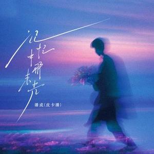 记忆中那束光 (DJ豪大大版)升调版