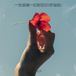 一生是痛一切是空 (DJ梦迪版)