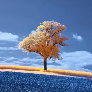 带我去找夜生活1655907405750_20220622_221709