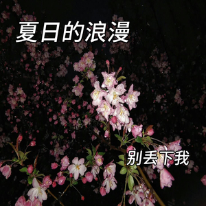 家具的狂欢之夜