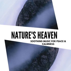 Enjoying The Silence