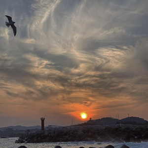 软绵绵的照片就别配硬曲（dj）