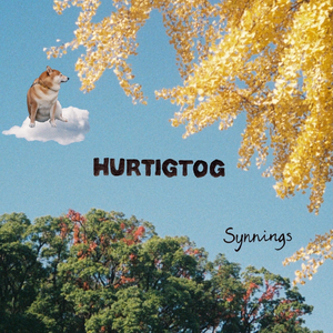 Hurtigtog