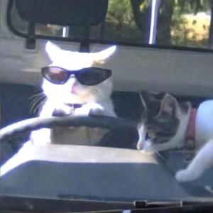 勇敢的心世界大战