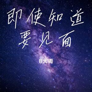 即使知道要见面（B大调 Remix）