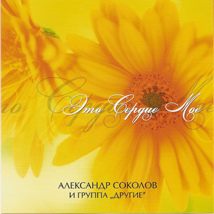 Вслед за тобой