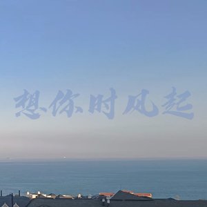 想你时风起
