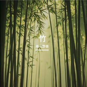 竹影摇风