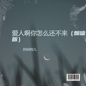 爱人啊你怎么还不来（烟嗓版）