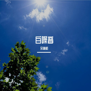 白噪音·喂!那傻狗