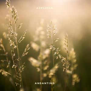 Andantino