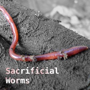 Devs (feat. Gary A. & Albert P.)