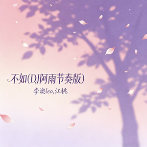 不如(DJ阿雨节奏版)