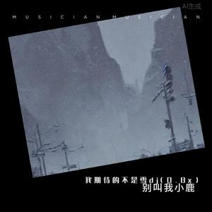 我期待的不是雪dj(0.8x)