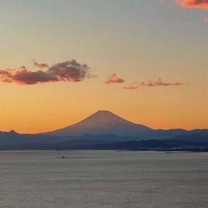 Whole again (feat. Foxilitus & Grailz Beni)