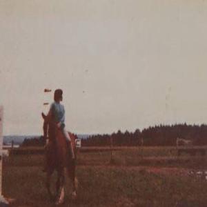 Big Rock Candy Mountain // unicorn with amnesia misspends ubi to self-care @ the mid-century suburb // hOuSeWiFe_fAnTaSy // daydream#01